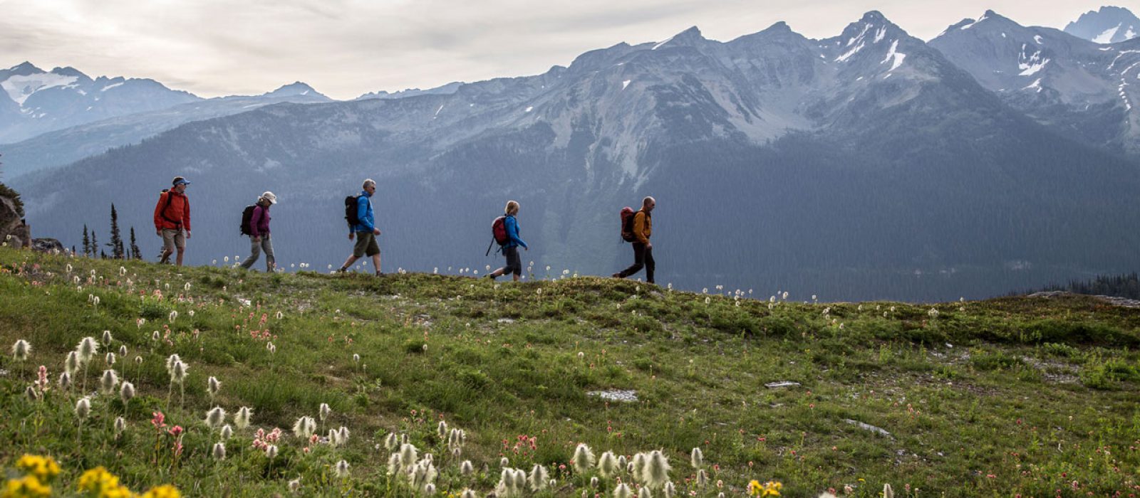 Hiking the Purcell Mountains, British Columbia People hiking in the Purcell Mountains in an alpine meadow