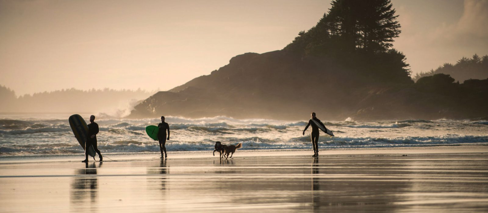Surfing in Tofino, British Columbia Three surfers with dogs walk along the beach in Tofino, BC